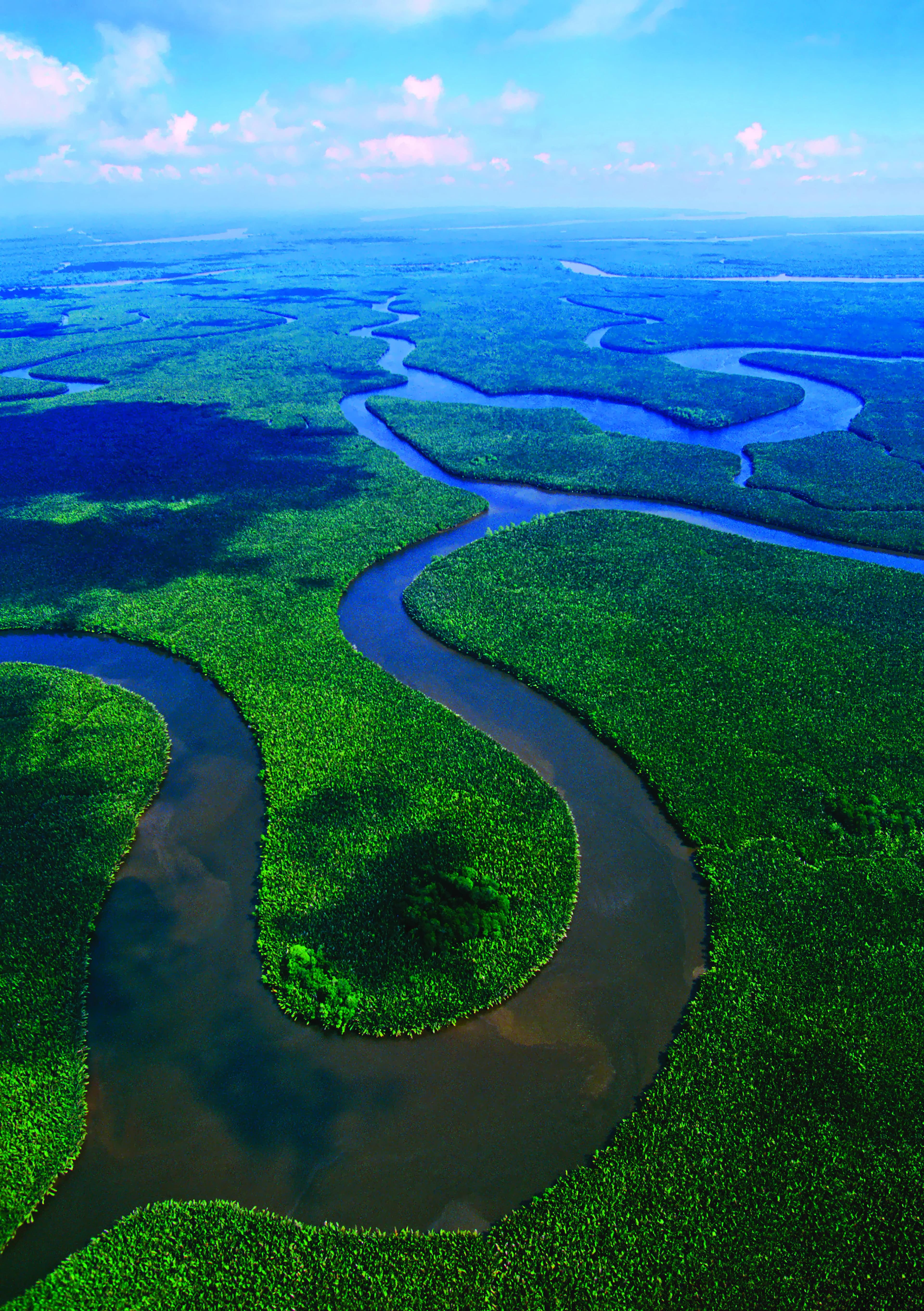 River ecosystem