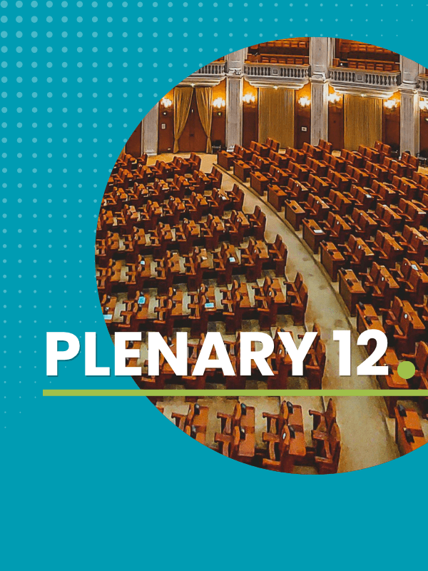 Plenary 12: Bringing It All Together and Road to COP31